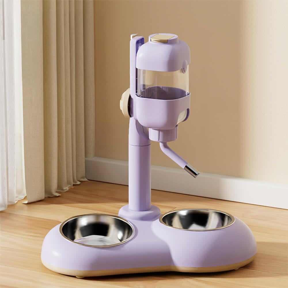 Pet Feeding Bowl Station Food Dispenser With Automatic Water